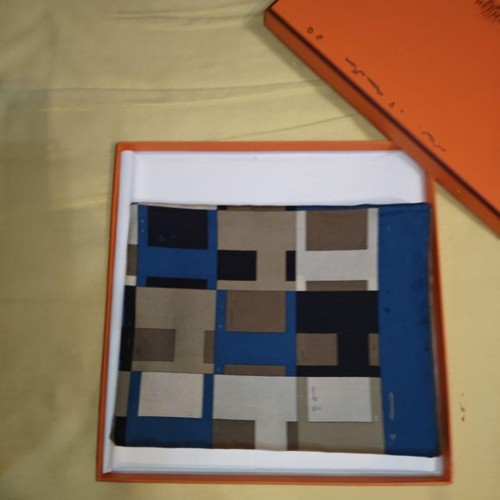Hermès Carre 70 Men's Blue Silk Cotton Scarf Contemporary Art Design Rare Japan