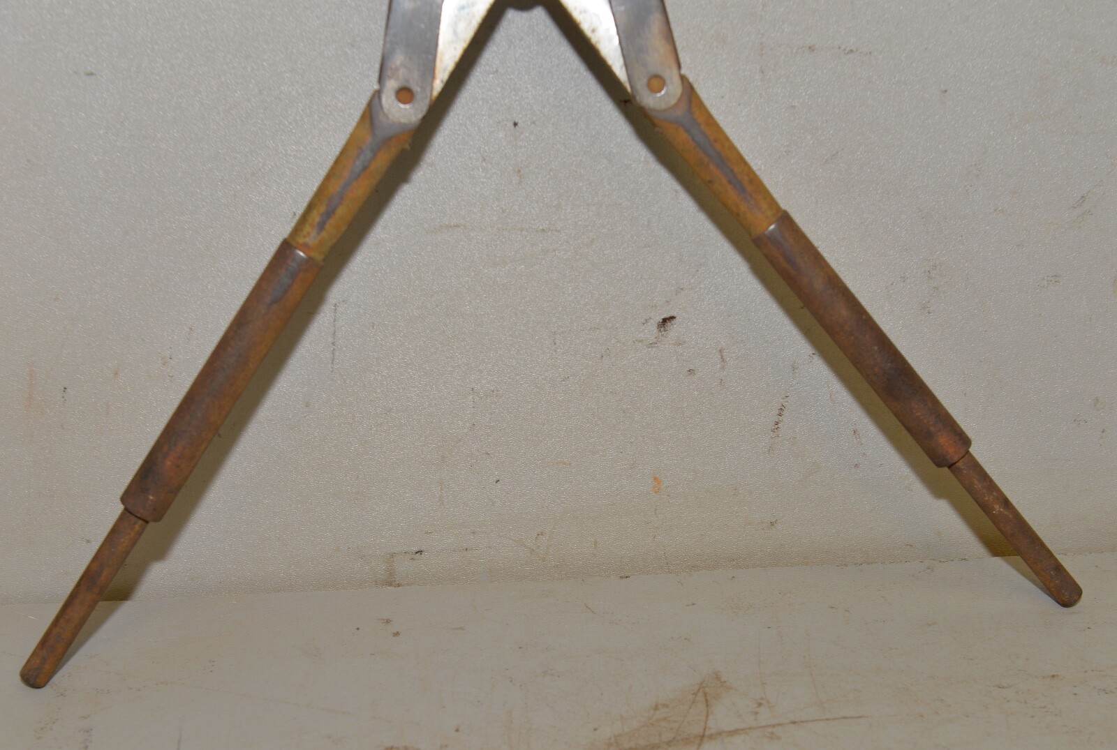 Quality H & C Chicago horse cow nipper cutter collectible lever action tool 