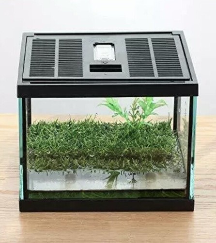crapelles Pac Frogs Glass Terrarium Feeding kit Tank, Waterproof,for Small Amphi - 第 1/8 張圖片