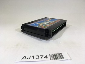 AJ1374 Dragon Slayer IV 4 NES Famicom Japan