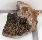 Graveyard Point Plume Agate lapidary 8 lb 7 oz Angelwing rough — photo 1