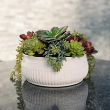 Round Faux Succulent Arrangement, 12" Premium Artificial Indoor Plant Enhance...