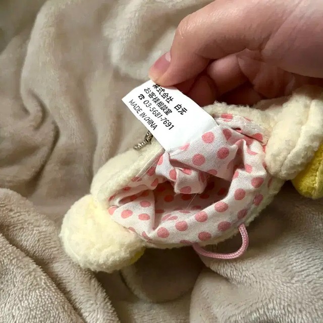 Kori Raccoon Coin Purse Pouch, Cute Face Design, Portable Accessory