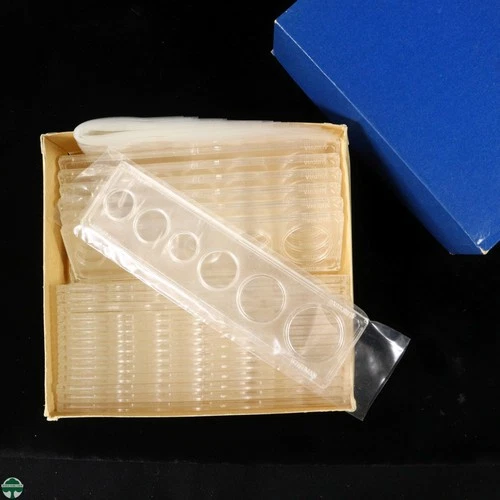 Box of 20 Clear Plastic Whitman 6 Coin Holders - Holds 32mm Canadian Dollars
