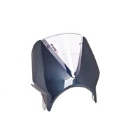 Puig Cupolino Univ. Vision Kawasaki W800 2020 CARBON-TRASPARENTE