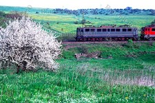 DR E251 001  bei Hüttenrode 2004 / org. Farb-Dia + Datei!   52#05