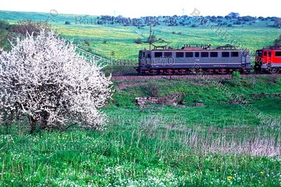 DR E251 001  bei Hüttenrode 2004 / org. Farb-Dia + Datei!   52#05