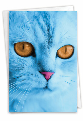1 Miss You Card with Envelope - Fancy Feline Faces C7179DMYG