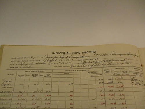 Vintage 1949 - 1952 Dairy Herd Record Books Ann Arbor Michigan Milk Cow Farm - Picture 10 of 15