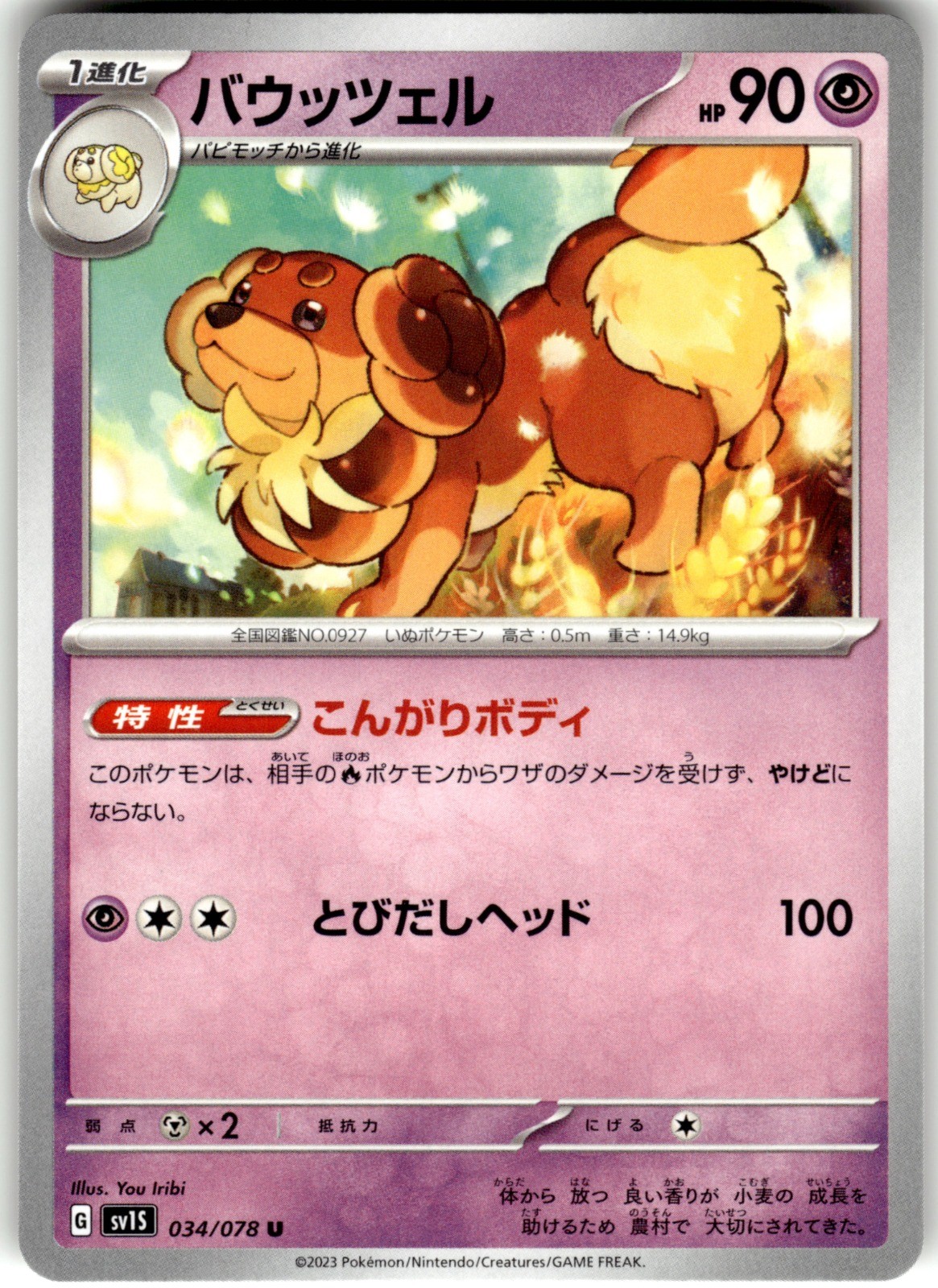 Dachsbun Regular 034/078 SV1S: Scarlet ex Uncommon Pokemon Card NM