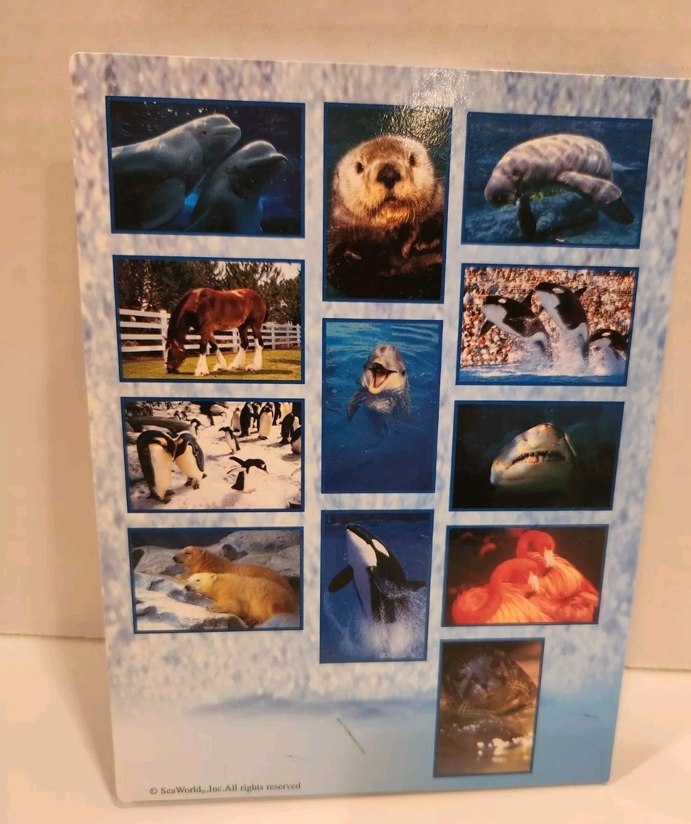 SeaWorld Adventure Parks Postcards 12 Pack Glossy New Excellent