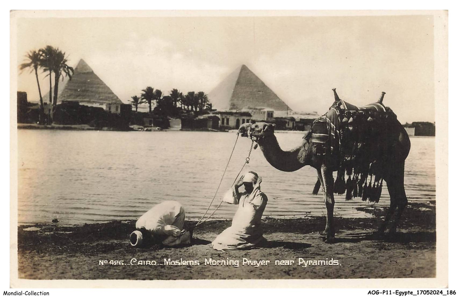 AOGP11-0841-ÄGYPTEN - KAIRO - MUSLIMISCHE Morgengebete In Der Nähe Der Pyramiden