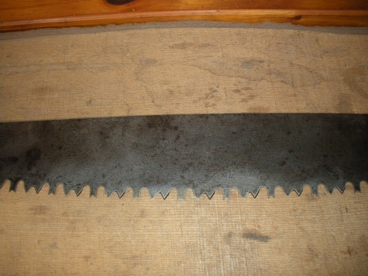 尚様ご購入希望・Harvest group・１９６６年・Thomsen・４３cm Vintage warranted Superior 2 Man Crosscut Saw 54” Blade Tree