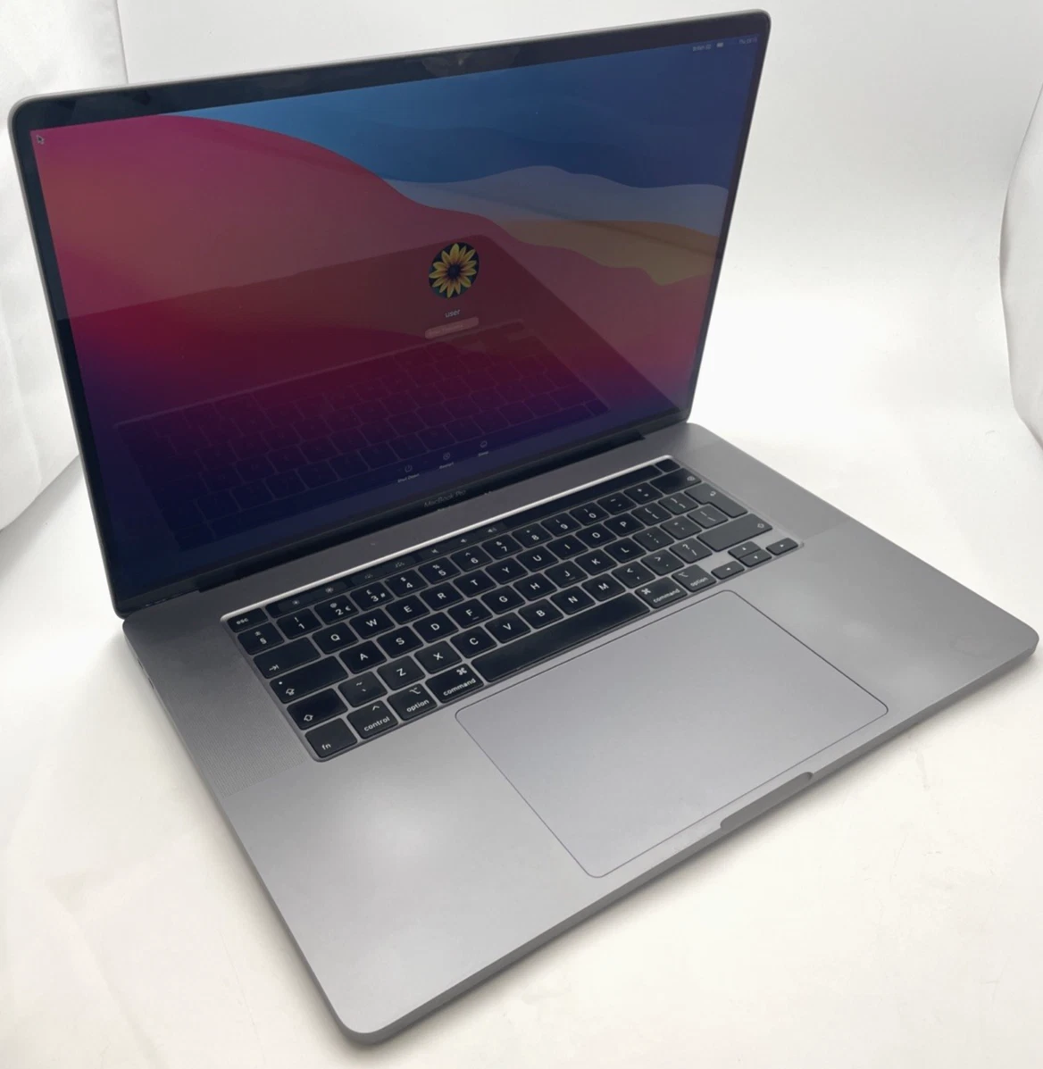 Las mejores ofertas en Apple MacBook Pro 16-16,9 pulgadas pantalla