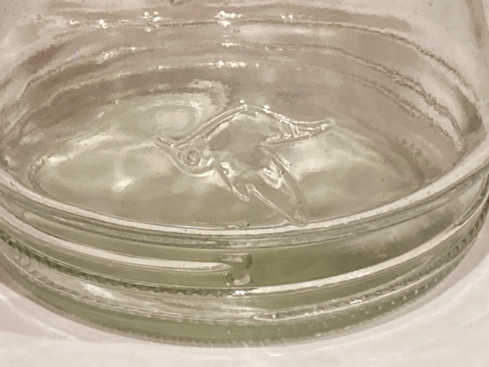 OPUS 2003 Hummingbird Feeder Replacement Glass Nectar Bottle eBay