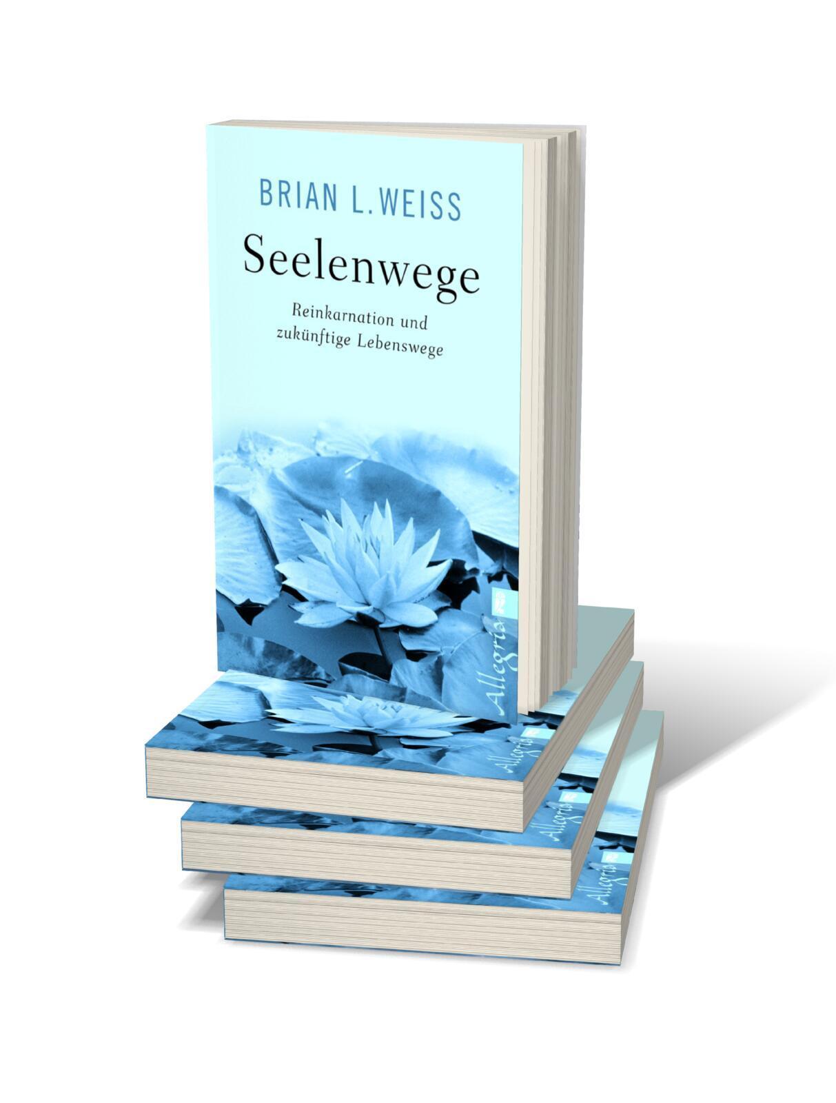 Thumbnail - Brian L. Weiss Seelenwege