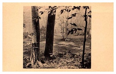 Postcard NATURE SCENE Bloomfield Hills Michigan MI m/09 AQ6730