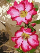 Adenium Desert Flower Needlepoint Kit or Canvas