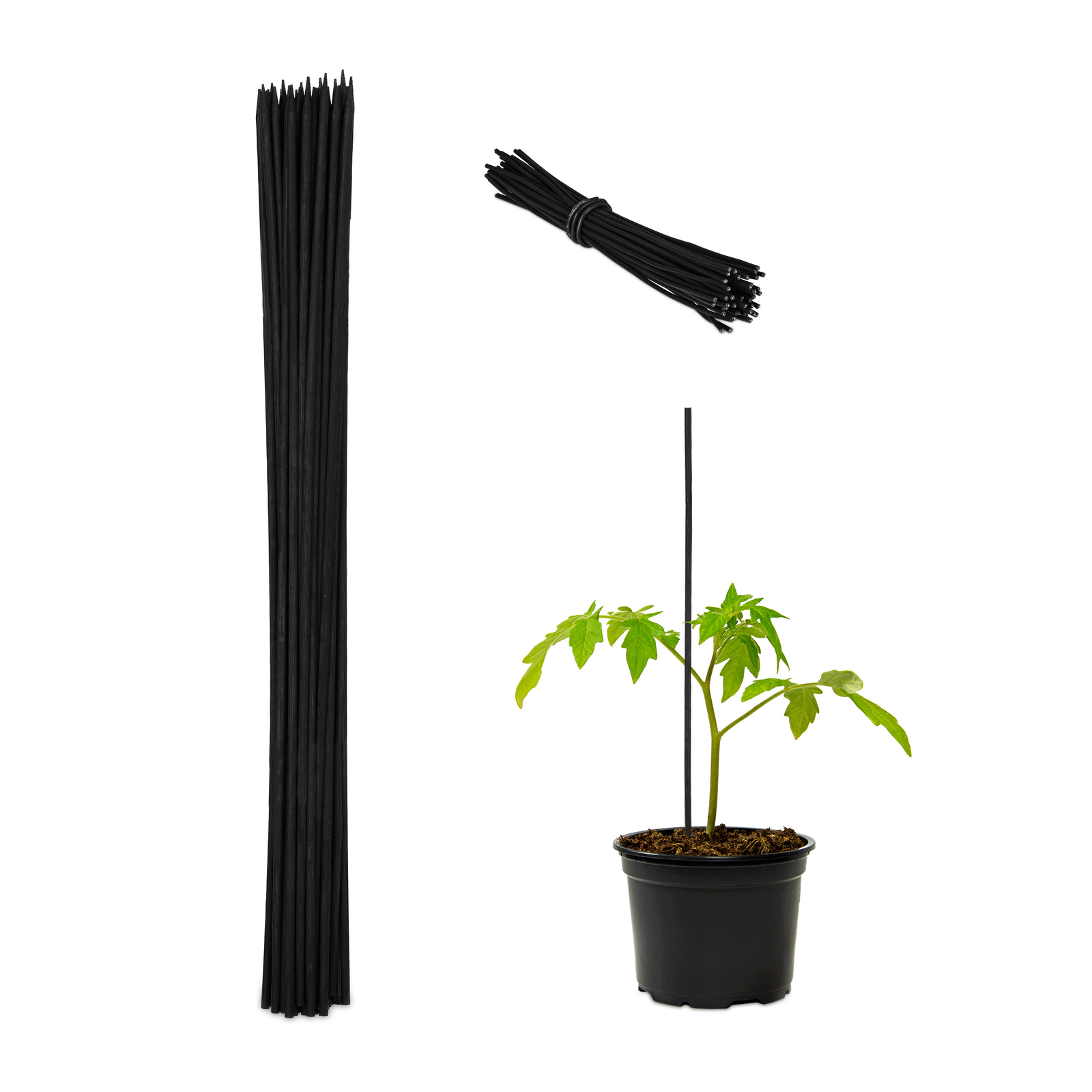 Soporte plantas 60cm Cañas bambú negras Palos tomateras Varas bambú Set 50 Guías