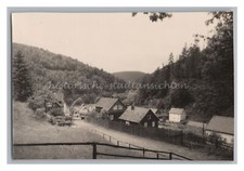 Luisenthal bei Oberhof 1967 - Ortschaft - Altes Foto 1960er