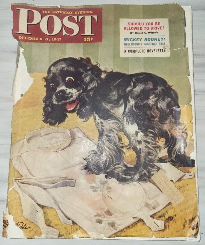 December 6, 1947 THE SATURDAY EVENING POST Muddy Paws Destroyed Cover Complete
