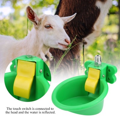 auto goat feeder