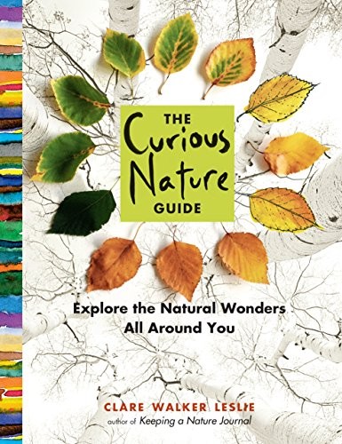 Curious Nature Guide by Clare Walker Leslie (Paperback, 2015) - Image 4