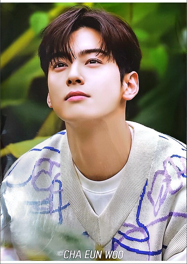 Cha Eun Woo [ASTRO] 12P Poster Pack [A3 Size]Bromide & Photo