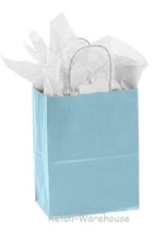 Paper Shopping Bags 100 Light Blue Retail Gift Merchandise 8 ¼” x 4 ¾” x 10 ½”