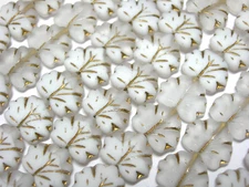 12 beads - Matte Crystal White with Gold Czech Glass Maple Leaf Beads 11x12mm