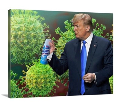 Donald Trump Virus Killer Canvas 11x14 President Lysol Covid2020 Gag Novelty