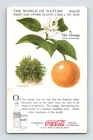 Trade Card Coca Cola Orange Tree Blossom 1930s World Nature Series III