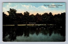 Cincinnati OH-Ohio The Lake Zoological Gardens Vintage Postcard