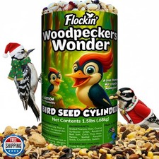 Woodpecker Bird Seed Cylinders with Hole   Premium Woodpecker Foo