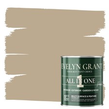 Evelyn Grant All-IN-ONE Paint & Primer Multi-Surface Paint Interior And Exterior