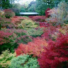 Yashica AIII Tlr 6x6 Film Camera Yashikor f3.5 80mm COPAL EXC Tested 540217