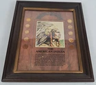 Framed The American Indian Indian Head Penny Collection Set Of 10 Free Shipping