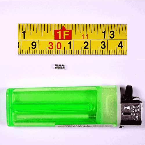 Molle a compressione 20ea/SUS/0.0118"WD/0.118"OD/0.196"FL/YUHAN SPRING /Y600 - Foto 3 di 5