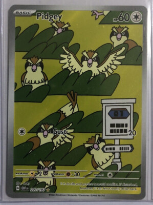 Pidgey Full Art 207/197 Illustration Rare Obsidian Flames Pokemon