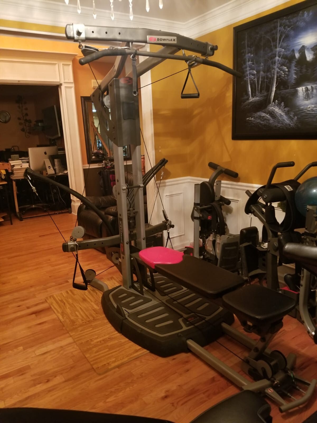 BOWFLEX ULTIMATE 2 MACHINE HOME GYM 310 AB | eBay