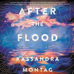 After the Flood, MP3-CD by Montag, Kassandra; Huber, Hillary (NRT), Brand New...