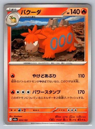 Camerupt 023/193 MEGA Dream ex Pokemon Japanese Near Mint