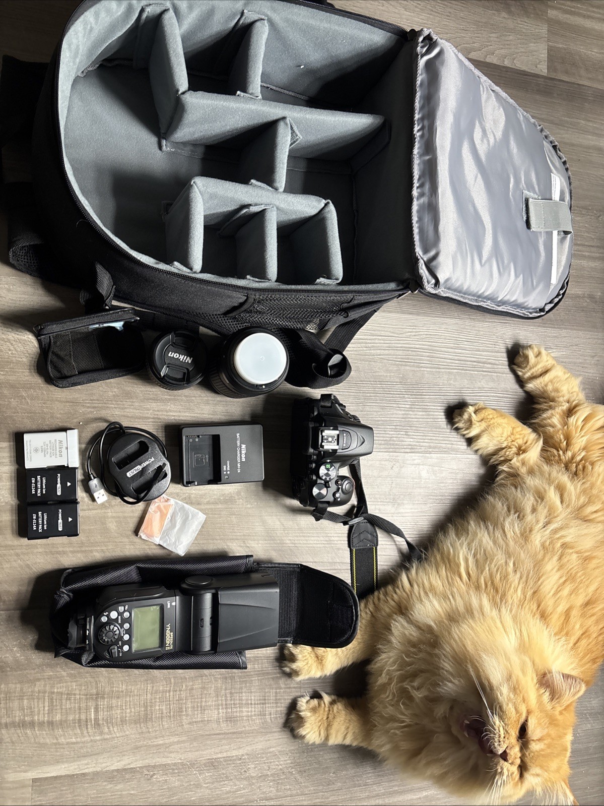 Nikon D5600 DSLR Camera 24.2MP BUNDLE: 2 lenses, New Speedlite Y968N 2, and More