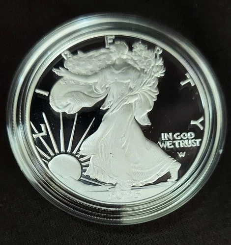 2025-S  American Silver Eagle Proof  .999 fine Silver $1  coin in OGPw/COA