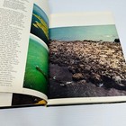 Foto 18 di 18