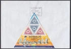 NEW ZEALAND M/S FDC 1997 AUPEX EXHIBITION PIGEONGRAM (ID:FE9735)