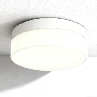 LED Ceiling Light 24W White 5CCT Modern Flush Mount Glass Shade Kitchen Fixture
