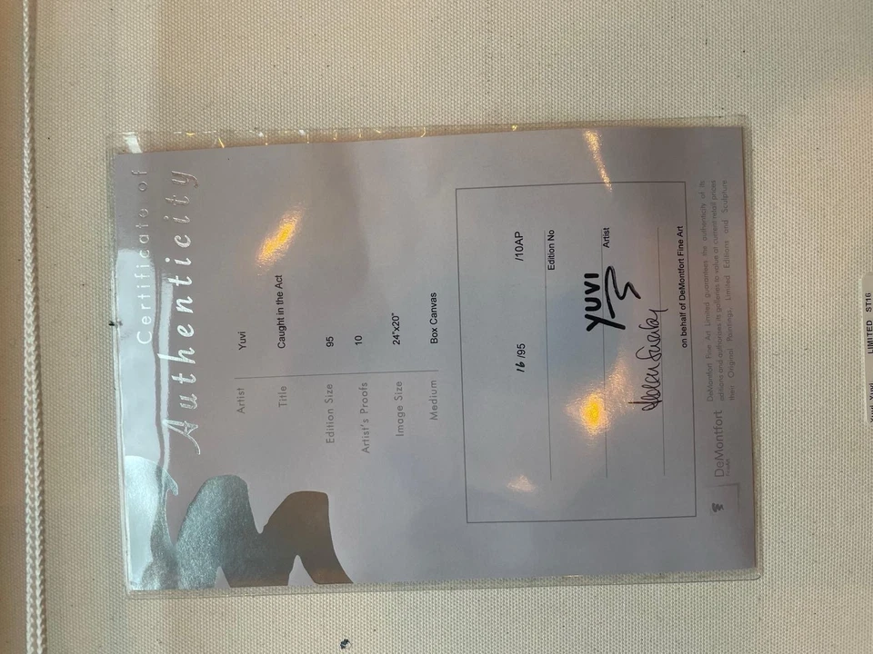 Obra de arte Yuvi "Atrapado en la acción" 16/95 caja lienzo - 24x20 pulgadas enmarcado Foto 4 de 4