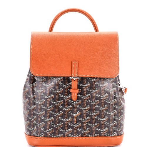 Goyard Alpin Backpack Coated Canvas Mini