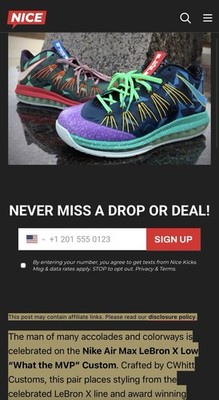 RARE Lebron x Low Custom WTMVP Size 10.5 Brand New